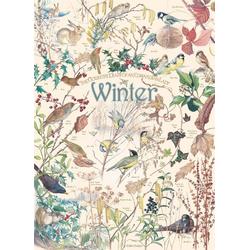 Country Diary: Winter 1000 Cobble Hill Edith Holden