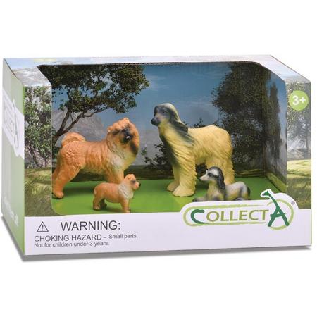 Collecta Honden: Speelset In Giftverpakking  4-delig