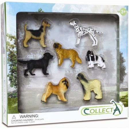 Collecta Honden: Speelset In Giftverpakking 7-delig