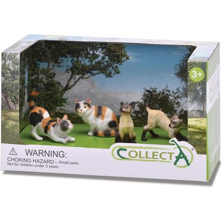 Collecta Katten: Speelset In Giftverpakking  4-delig