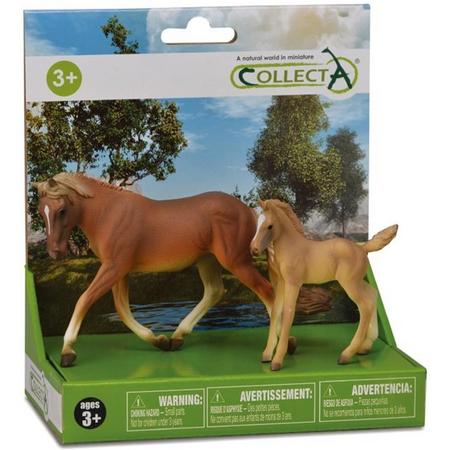 Collecta Paarden: Speelset In Giftverpakking   2-delig