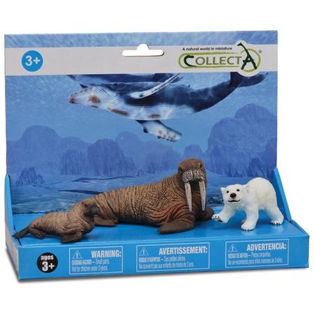 Collecta Zeedieren: Speelset In Giftverpakking   3-delig