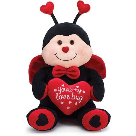 valentijn lieveheers beestje youre my love bug