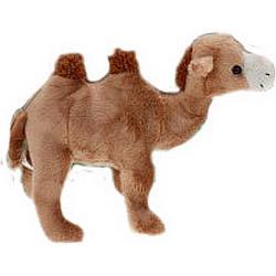 Pluche kameel knuffel 22 cm