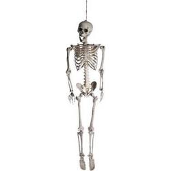 Hangpop Skelet 42x19x160cm