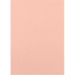   Klassieke kaart - A4 - 10stuks - Bubblegum pink