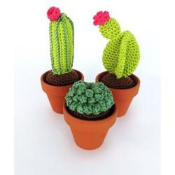 Haakpakket Cactus, set 3 stuks