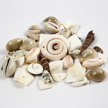 Strand schelpen, afm 9-40 mm, 120 gr