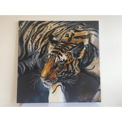 Diamond Painting Crystal Art The Tiger 70x70 cm, Partial Painting