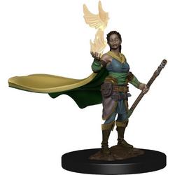 D&D Icons of the Realms Premium Figures: Elf Female Druid