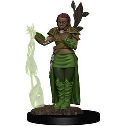 D&D Icons of the Realms Premium Figures: Human Female Druid