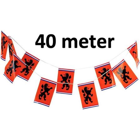 Oranje Vlaggetjes met Leeuw - Oranje vlaggenlijn - EK accessoires - Oranje versiering - EK 2021 - EK voetbal - 40 meter - 30 x 20cm