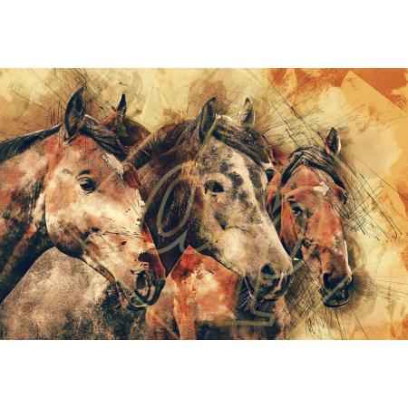 DP Benelux Diamond Painting - Tekening paarden - formaat 90 x 60 cm - Volledige bedekking - Vierkante steentjes in afsluitbare potjes – Gemaakt in Nederland – Hoogste kwaliteit – Snelle levering!