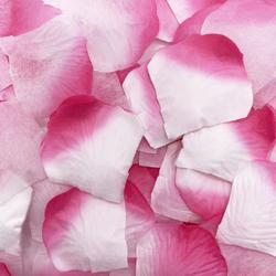 Decarro Luxe roze/wit rozenblaadjes 1000 stuks Valentijnsdag - Valentijn decoratie / Bruiloft versiering