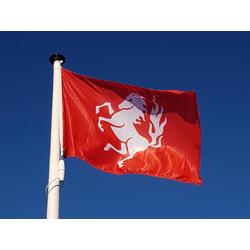 Vlag Twente 225x150 cm. Twentse Ros vlag.