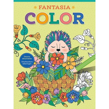 Deltas Kleurboek Fantasia Color