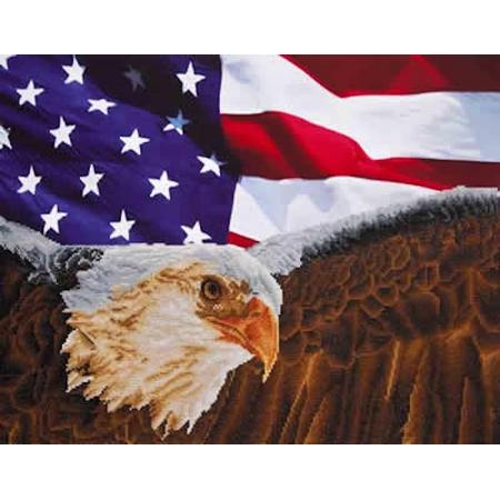 Diamond Dotz   painting Eagle and Flag (71x56 cm)