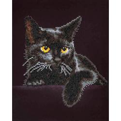   ® painting Midnight Cat 28x36 cm - Diamond Painting