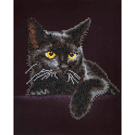 Diamond Dotz ® painting Midnight Cat 28x36 cm - Diamond Painting