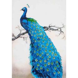 Needle Art Blue Peacock   60x84 cm