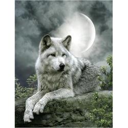 Diamond painting Volwassenen - Wolf liggend met volle maan - Hobbypakket - 40x50 cm - Vierkante steentjes - Volledig te beplakken