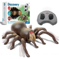  Kids RC Tarantula – spin met lichtgevende ogen en geluid