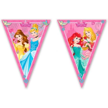 Disney prinses vlaggenlijn 2,3 m