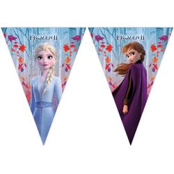 2x   Frozen 2 vlaggenlijnen 2 meter - Kinderfeestje/verjaardag feest thema vlaggenlijn
