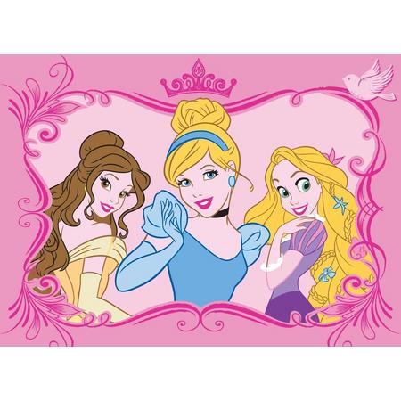 Disney Princess - Speelkleed - Vloerkleed - Tapijt 95X133 cm