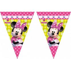 Minnie Mouse vlaggenlijn 3 meter