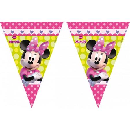 Minnie Mouse vlaggenlijn 3 meter