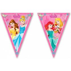 Set van 2x stuks   prinses vlaggenlijnen 2,3 meter - Feestartikelen en kinder verjaardag slingers versieringen