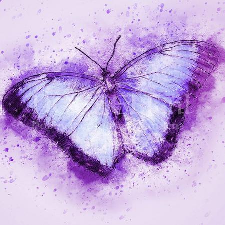 Paarse vlinder - Diamond Painting