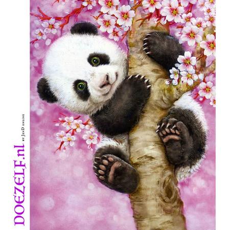Panda in boom - Diamond Painting 20x25 (Volledige bedekking - Vierkante steentjes)