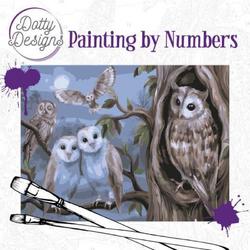 Dotty Design - Painting by Numbers - Amazing Owls - 40x50 met frame