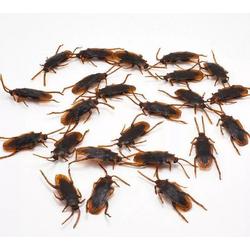 8 nep kakkerlakken - Leuk als grap op je taart, eten, bed, bank, etc