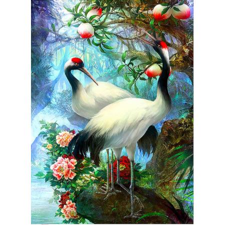 Diamond Painting – Kraanvogels in bloemen jungle / Vogel liefhebber - 40x50 cm - Volledige bedekking - Vierkante steentjes – Inclusief tools en gratis diamond painting sorteerdoos (28 vakjes). Love Birds in Paradise.