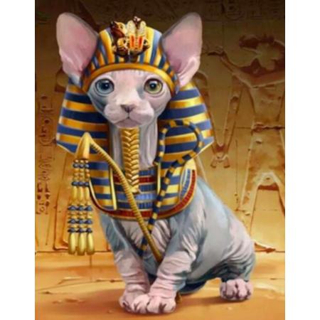 Diamond Painting – Prachtige Naaktkat “Sfynx” in het Oude Egypte – 30x40 cm -Volledige bedekking / Vierkante steentjes – Inclusief tools