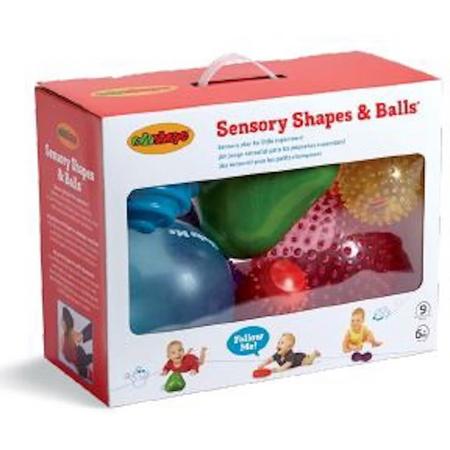 Sensory Ball Mega Pak Set (9 shapes N Balls)