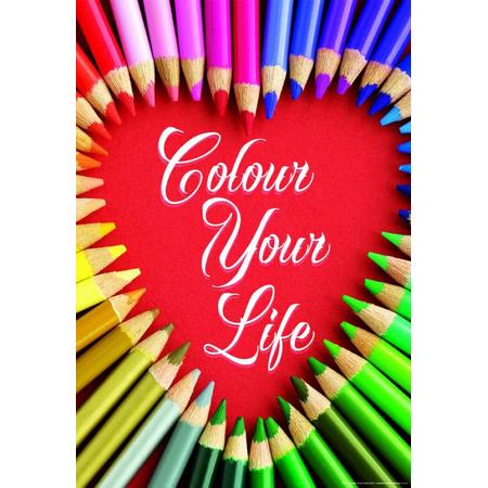 Educa Colour Your Life - 500 stukjes