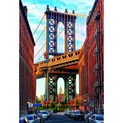 Educa Manhattan brug in New York - 1000 stukjes