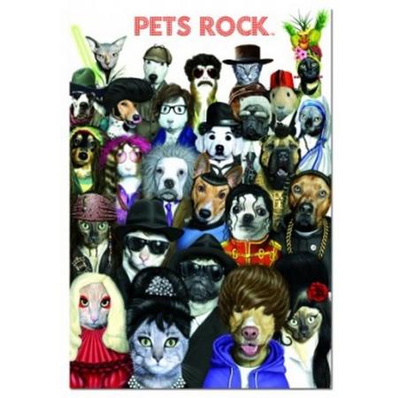 Educa: Pets Rock (1000)