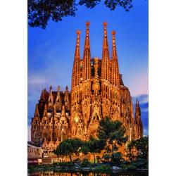 Educa Sagrada Familia - 1000 stukjes