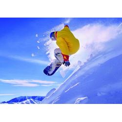 Educa Snowboard - 500 stukjes
