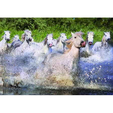 Witte paarden in de Camargue - 1000 stukjes