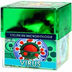 Ein-O Cellen en Microbiologie Virus