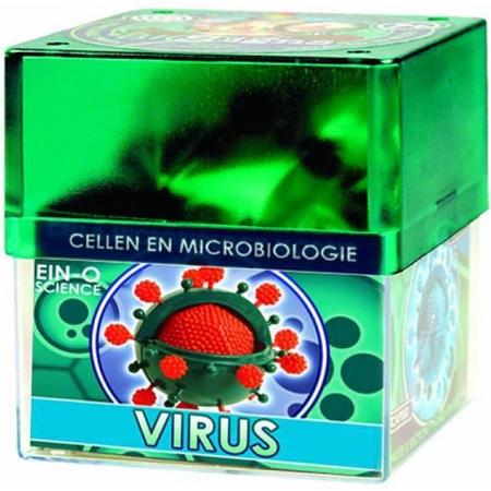 Ein-O Cellen en Microbiologie Virus