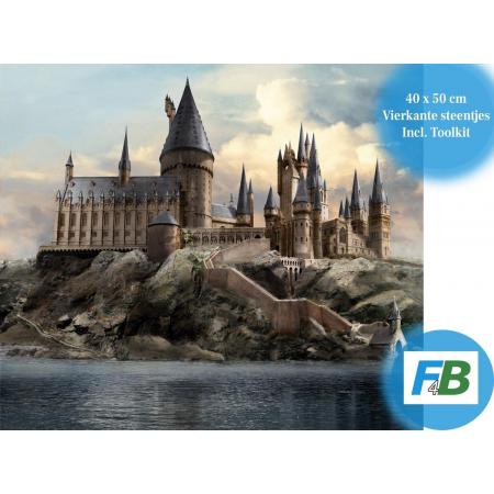 F4B Diamond Painting volwassenen 40x50cm – Vierkante Steentjes - Harry Potter - Hogwarts - Disney -  Pakket Volwassenen en Kinderen