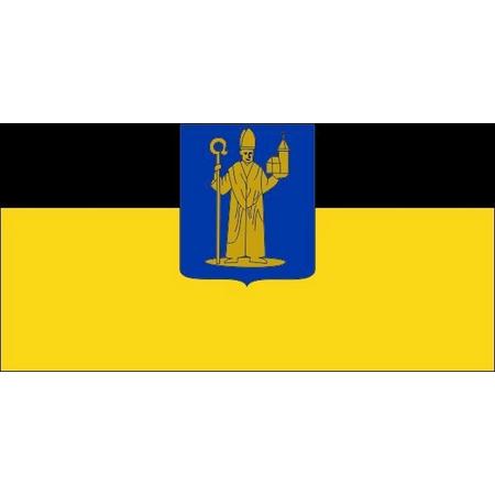 Vlag gemeente Mill en Sint Hubert 70x100 cm