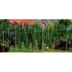   - Hop field with poles - FA181280